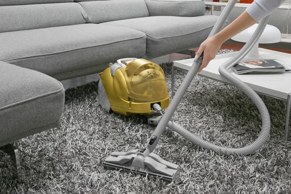 Commercial Carpet Cleaning in Cloverly, MD